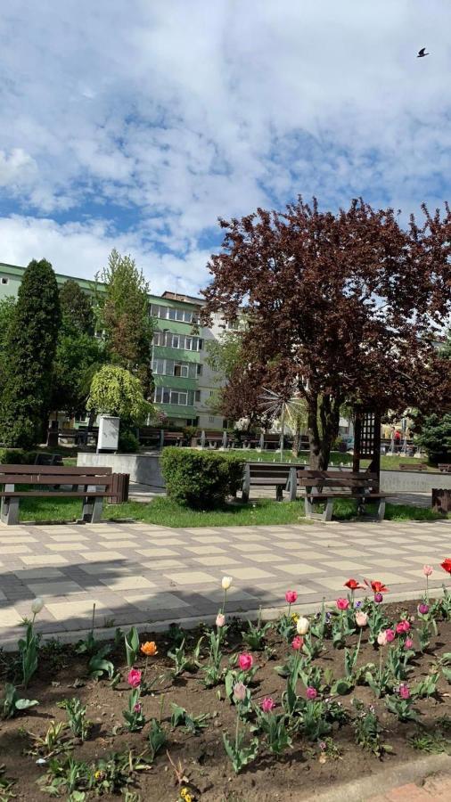 Best Apartment City Hall Suceava Eksteriør billede