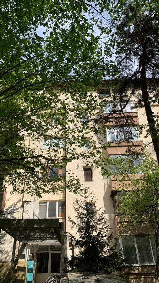 Best Apartment City Hall Suceava Eksteriør billede